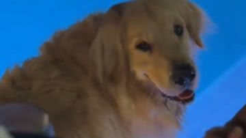 Reprodução / Redes Sociais