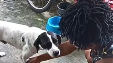 Reprodução / Redes Sociais