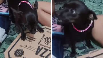 Reprodução / Redes Sociais