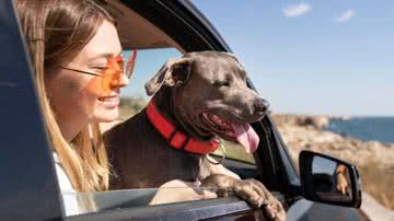 Ilustrativa / FreePik