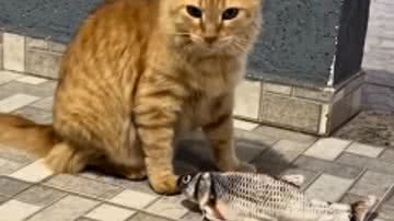 Reprodução /  Redes Sociais