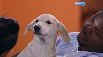 Reprodução / Redes Sociais / Globo