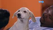 Reprodução / Redes Sociais / Globo
