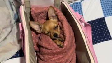 Reprodução/Redes Sociais