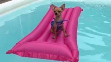 Reprodução/RedesSociais