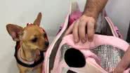 Reprodução/RedesSociais