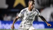 Raul Baretta / Santos