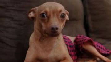 Reprodução/RedesSociais