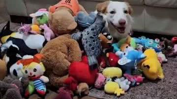 Reprodução/Redes Sociais