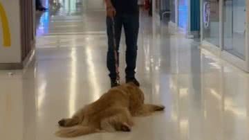 Reprodução/RedesSociais