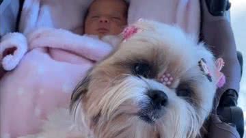 Reprodução/Redes Sociais