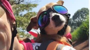 Reprodução/RedesSociais