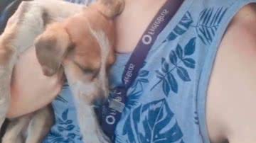 Reprodução/RedesSociais