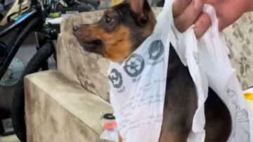 Reprodução/RedesSociais