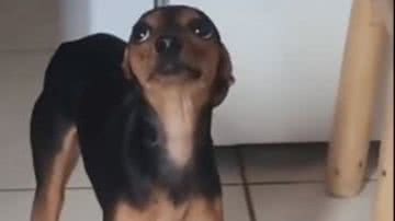 Reprodução/RedesSociais