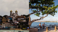 Reprodução / Site Salvador da Bahia (Amanda Oliveira e Fabio Marconi)