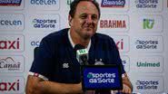 BNews/Rafael Abbehusen
