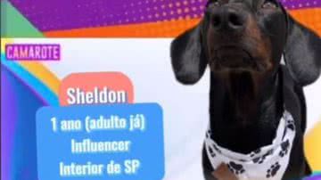 Reprodução/RedesSociais