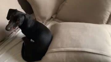 Reprodução/Redes Sociais