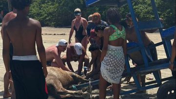 Reprodução/Redes Sociais