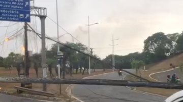 Reprodução/vídeo