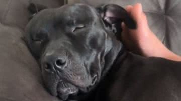 Reprodução/RedesSociais