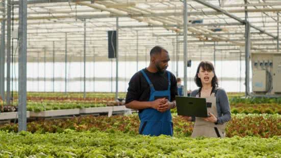 Divulgação / Freepik