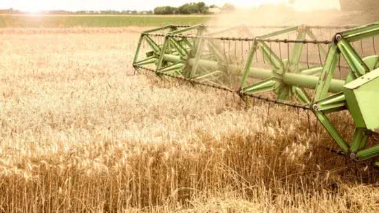 Divulgação / Freepik