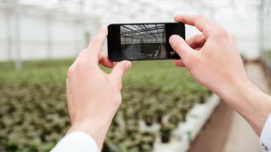 Divulgação / Freepik