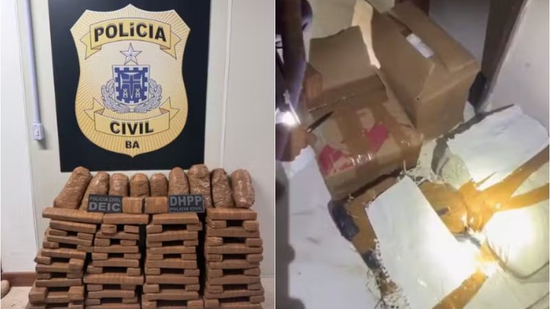 Divulgação/Polícia Civil