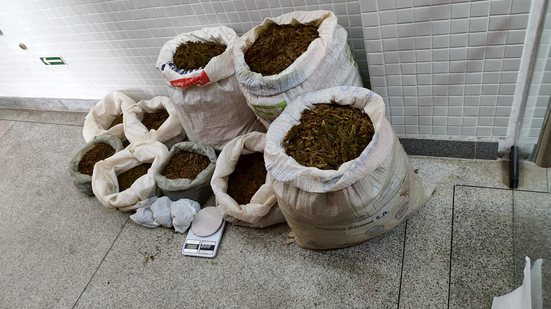 Divulgação