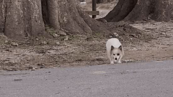 Reprodução | Redes Sociais