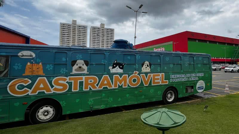 Divulgação