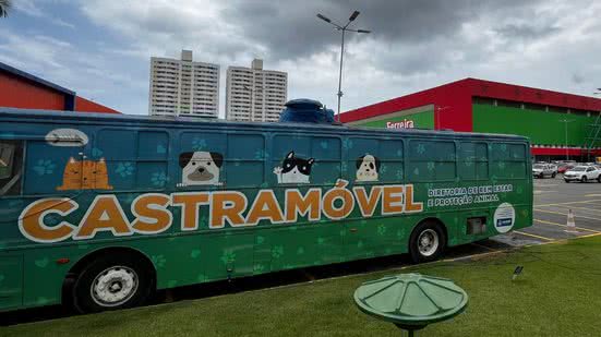 Divulgação