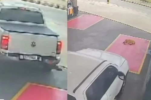 Reprodução//Vídeo