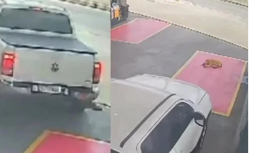 Reprodução//Vídeo