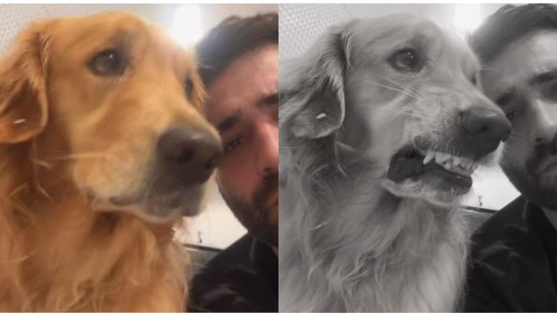 Reprodução/TikTok @guuustavovs