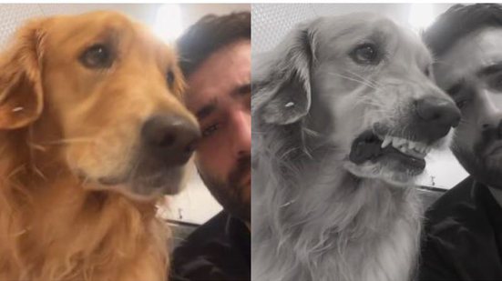 Reprodução/TikTok @guuustavovs