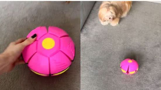 Reprodução/TikTok @larissaemaya