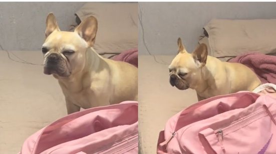 Reprodução//TikTok @brunarauena