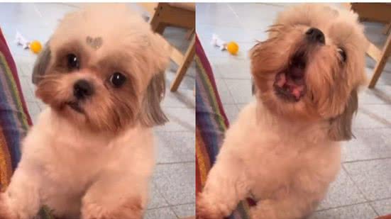 Reprodução//TikTok @__jacianee