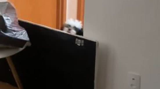 Reprodução// TikTok @soudriana