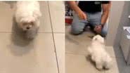 Reprodução// TikTok @dalilavictoriaf