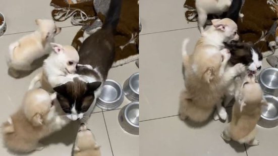 Reprodução// TikTok @giovannamiguel