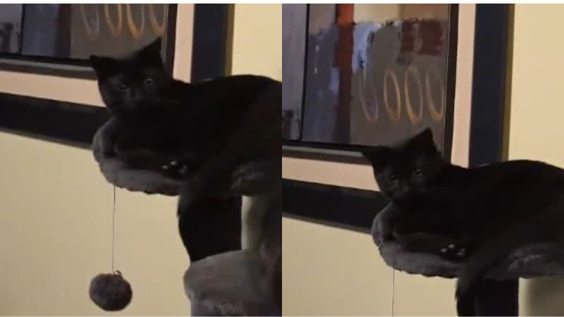 Reprodução//TikTok @jay_son161