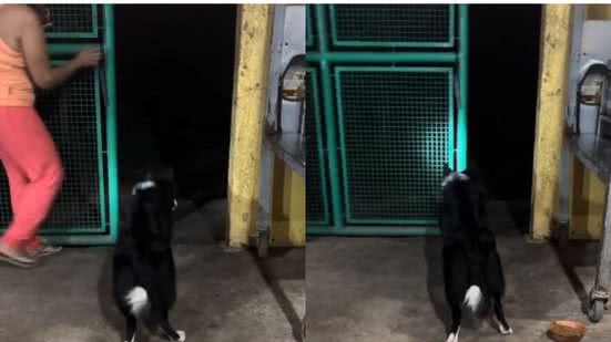 Reprodução/TikTok @osmeninosdavovo