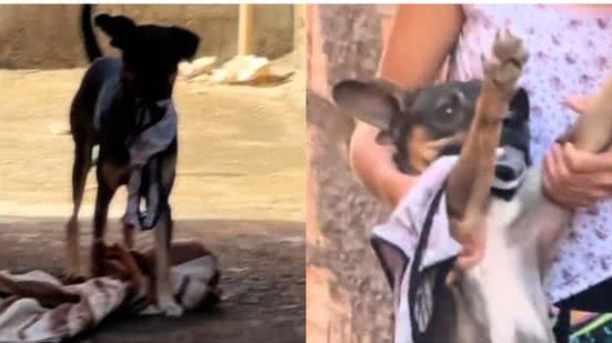 Reprodução//TikTok @_pe_duro