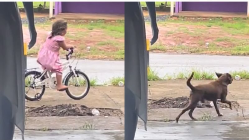 Reprodução//TikTok @leidefr_