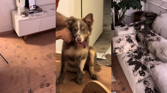 Reprodução//TikTok @theborder.loki