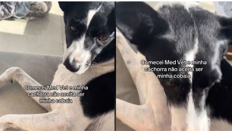 Reprodução//TikTok @mariaessanches